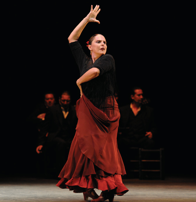 Gypsy Flamenco show, Granada