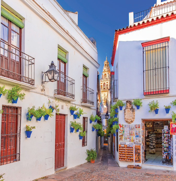The Calleja de las Flores, Cordoba