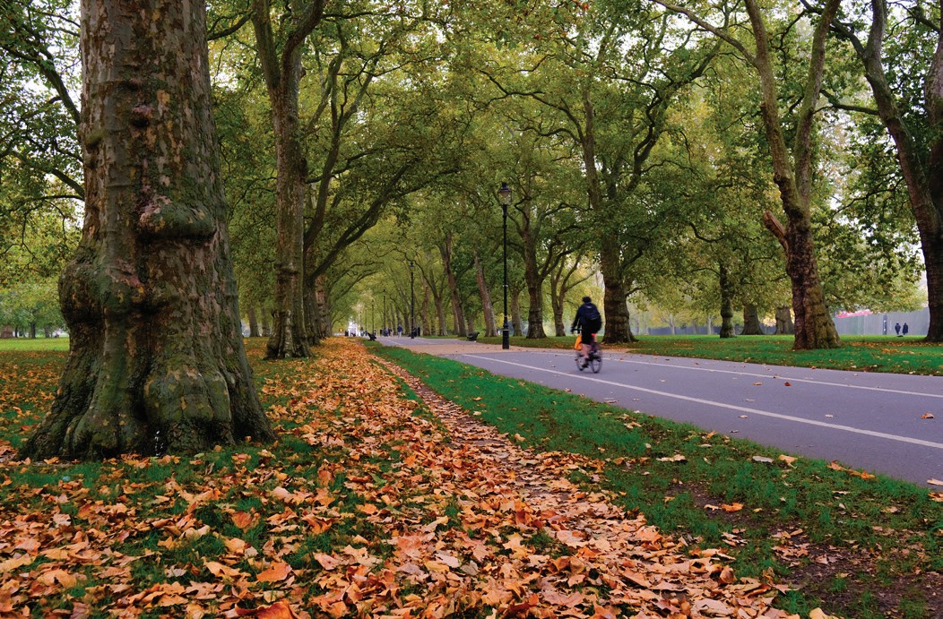 Hyde Park