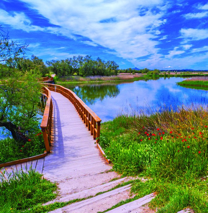 Las Tablas de Daimiel National Park