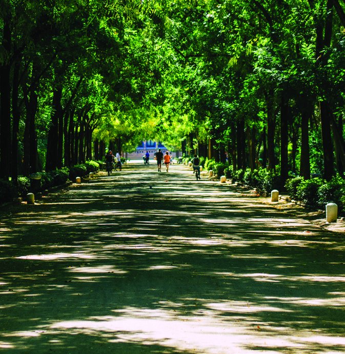 The Maria Luisa Park, Seville