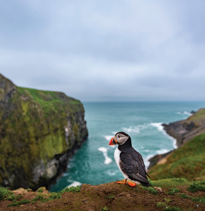 Pembrokeshire National Park