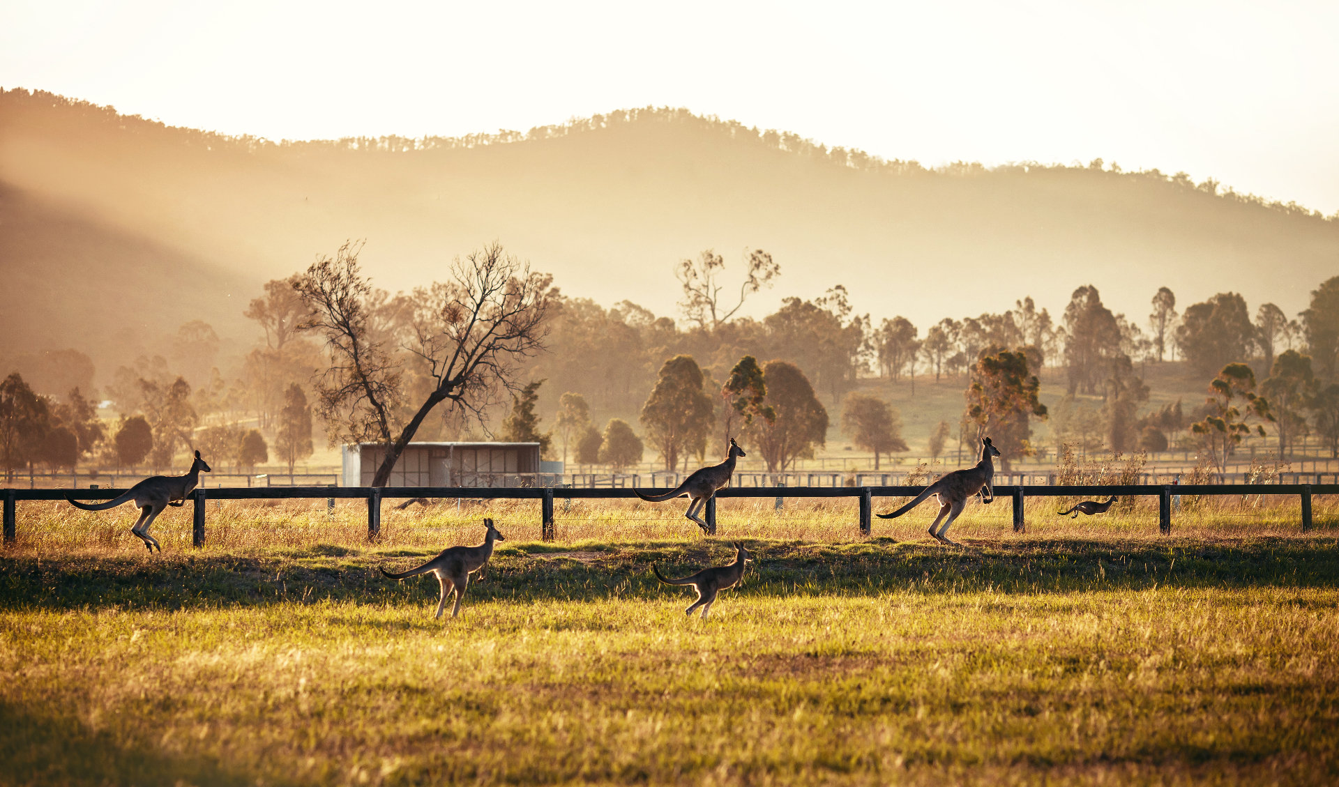 AUSTRALIA